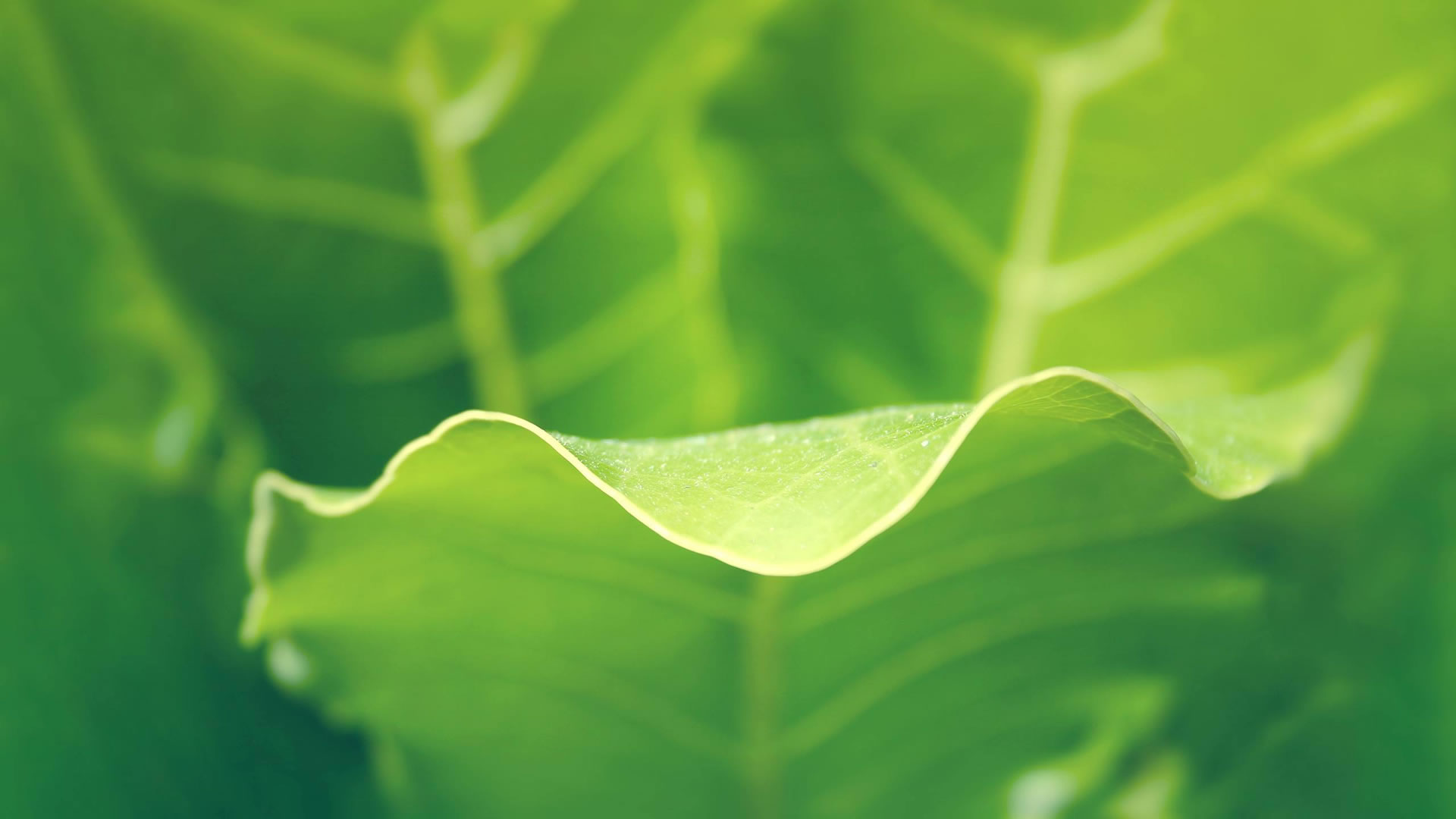 ̩�ǜp�ٙC(j��)